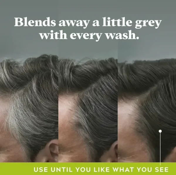Men Control GX Gray Reducing Shampoo, Four Fl Oz