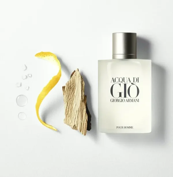 GIO ARMANI Acqua Di Gio For Men - Eau de Toilette 3.4 fl oz